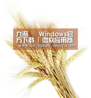 九游 - Windows官方下载 | 微软应用商店 | Microsoft Store