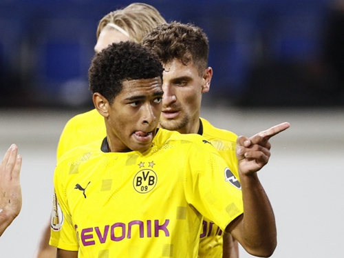 早已成为球 早已成为球