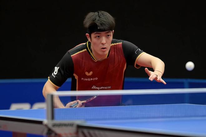 新规元年的 新规元年的