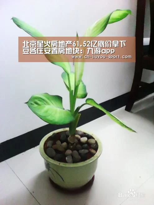 九游下载app